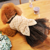Winter Dress  Posh Pet Collection