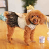 Winter Dress  Posh Pet Collection