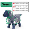 Transparent Raincoat  Posh Pet Collection