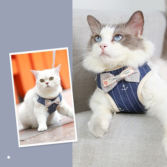 Adjustable Harness Vest  Posh Pet Collection